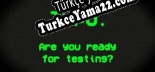 Oyun için Türkçe yama Typo