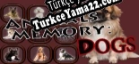 Animals Memory Dogs Türkçe yama Yaması + Metin
