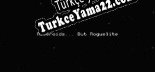 Asteroids... But Roguelite Türkçe yama Yaması + Metin