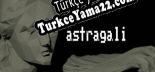 Türkçe yama astragali