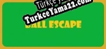 Türkçe yama için Ball Escape