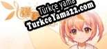 Barrage Musical  Basic Danmaku Tutorial  / 弹幕音乐绘  基础教学篇 Türkçe yama