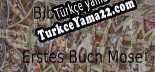 Türkçe yama BibleGames Erstes Buch Mose Teil 1