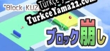 Oyun için Türkçe yama Block KUZUSHI