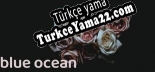 blue ocean Türkçe seslendirme + altyazı