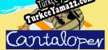 Türkçe yama Cantaloper