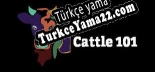 Oyun için Türkçe yama Cattle 101  Sample Library