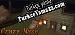 crazy maze 疯狂迷宫  狂った迷路  Laberinto loco  Labyrinthe fou  Verrücktes Labyrinth Türkçe yama Yaması + Metin