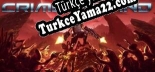 Türkçe yama Crimsonland