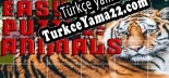Türkçe yama Easy puzzle Animals