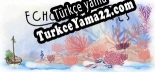 Oyun için Türkçe yama Echo of the Waves