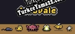 Echovale Türkçe yama