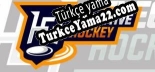Oyun için Türkçe yama Executive Hockey