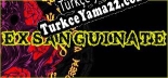 Türkçe yama Exsanguinate