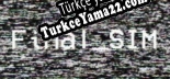 Oyun için Türkçe yama FinalSIM