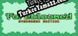 Türkçe yama için Forebloomed Evergreen Edition