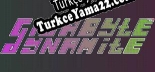 Oyun için Türkçe yama Gigabyte Dynamite