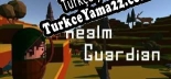 Hard to be a King Türkçe yama