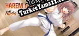 Türkçe yama Harem Girl Alicia