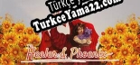 Türkçe yama için HealerPhoenix