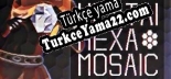 Türkçe yama Hentai Hexa Mosaic