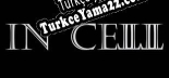 IN CELL Türkçe yama