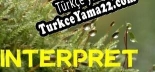 Türkçe yama için Interpret