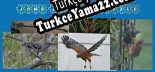 Türkçe yama için Jons Jigsaw Puzzle