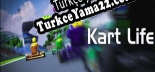 Oyun için Türkçe yama Kart Life