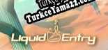 Liquid Entry Türkçe yama Yaması + Metin