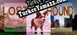 Lost and Hound Türkçe seslendirme + altyazı