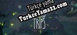 Lucid Trips Türkçe seslendirme + altyazı
