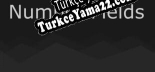 Oyun için Türkçe yama Number Fields