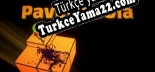 Türkçe yama Pavephobia