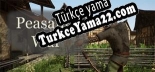 Türkçe yama Peasants War