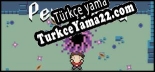 Oyun için Türkçe yama Penimorta