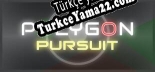 Türkçe yama Polygon Pursuit