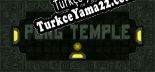 Türkçe yama Pong Temple
