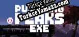 Puzzling Peaks EXE Türkçe yama