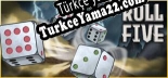 Roll Five Türkçe seslendirme + altyazı