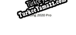 RX Racing 2020 Pro Türkçe yama Yaması + Metin