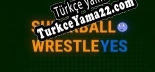 SUPER BALL WRESTLE YES Türkçe yama