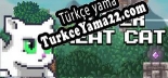 Super Neat Cat Türkçe seslendirme + altyazı