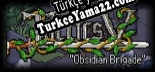 Tactics V Obsidian Brigade Türkçe yama