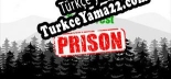 Türkçe yama The Forest Prison