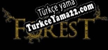 Türkçe yama The Old Forest