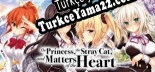The Princess, the Stray Cat, and Matters of the Heart Türkçe seslendirme + altyazı