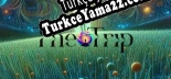 Türkçe yama için The Trip