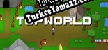 Topworld Türkçe yama Yaması + Metin