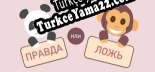 True or False Türkçe seslendirme + altyazı